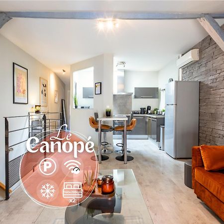 Le Canope - T3 Duplex, 2 Salles D'Eau, Hypercentre Castres  Exterior photo