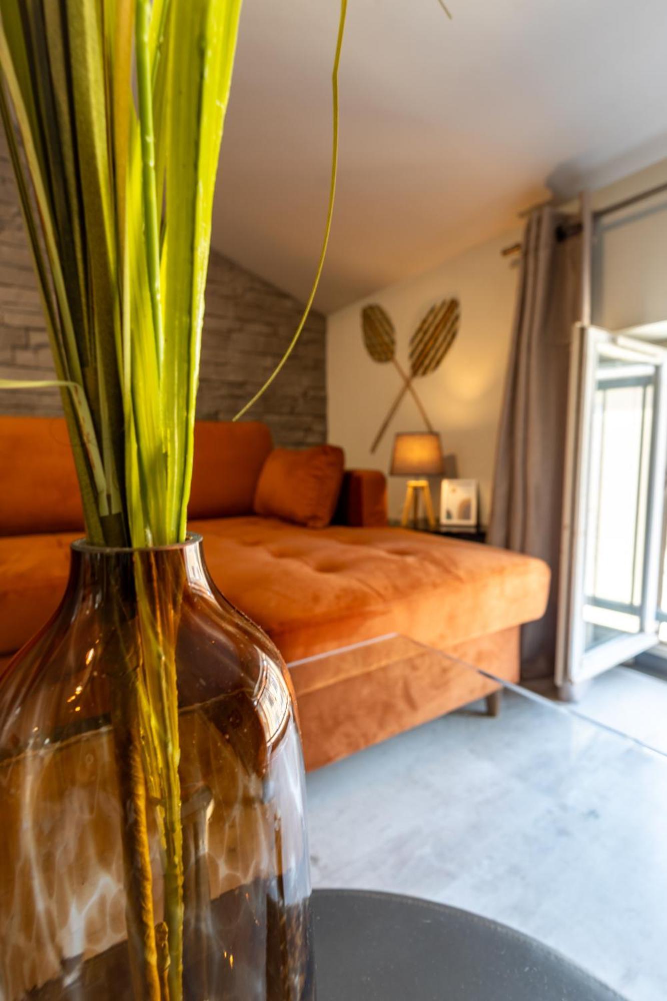 Le Canope - T3 Duplex, 2 Salles D'Eau, Hypercentre Castres  Exterior photo